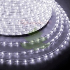 Дюралайт LED, постоянное свечение (2W) - белый, 24 LED/м Ø10мм, бухта 100м