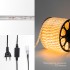 Дюралайт LED двухжильный 230В 13мм 24 LED/м ЖЕЛТЫЙ постоянное свечение модуль 2м бухта 100м NEON NIGHT Дюралайт LED двухжильный 230В 13мм 24 LED/м ЖЕЛТЫЙ постоянное свечение модуль 2м бухта 100м NEON NIGHT