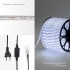 Дюралайт LED двухжильный 230В 13мм 30 LED/м БЕЛЫЙ постоянное свечение модуль 1м бухта 100м NEON NIGHT